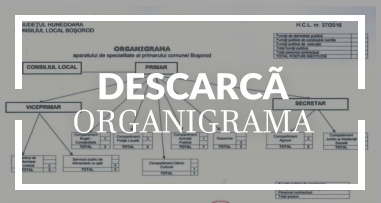 organigrama