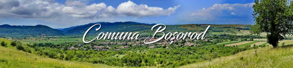 comuna-bosorod